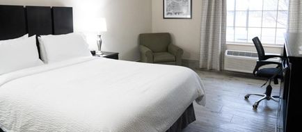 Lucille's Hotel Room