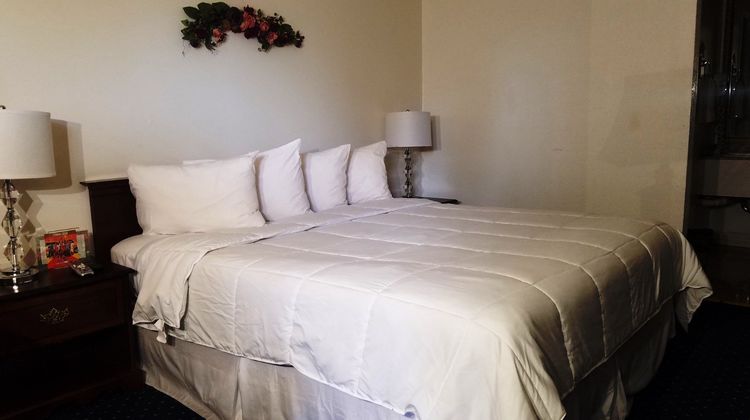 Stanford Motor Inn Room
