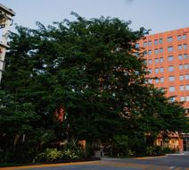 Culiacan Marriott Hotel Exterior