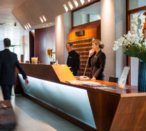Cosmo Hotel Torri Lobby