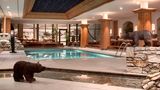 Hotel Les Barmes de l'Ours Pool