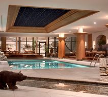 Hotel Les Barmes de l'Ours Pool