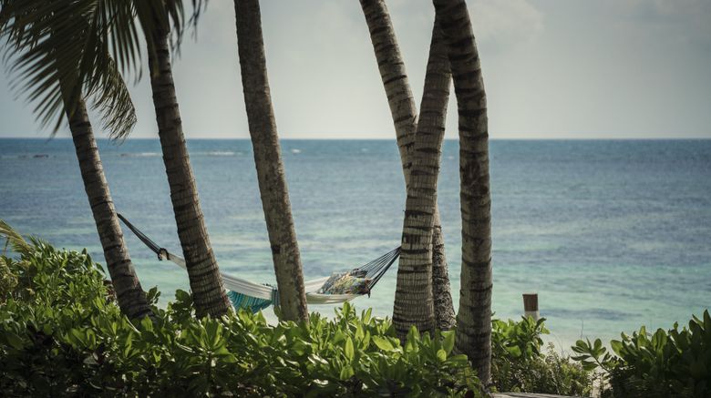 <b>Four Seasons Resort at Desroches Island Beach</b>. Images powered by <a href="https://www.leonardoworldwide.com/" title="Leonardo Worldwide" target="_blank">Leonardo</a>.