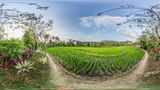 <b>InterContinental Xishuangbanna resort Lobby</b>. Virtual Tours powered by <a href="https://www.leonardoworldwide.com/" title="Leonardo Worldwide" target="_blank">Leonardo</a>.