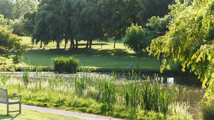 Champneys Springs Health Resort Other
