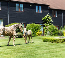 Champneys Springs Health Resort Exterior