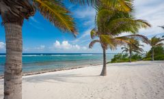 Luxury Cayman Villas
