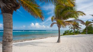 Luxury Cayman Villas
