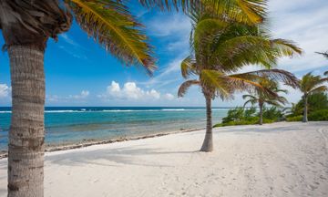 Luxury Cayman Villas