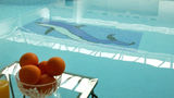 County Arms Pool