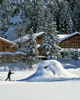 Waldhotel Doldenhorn Hotel