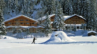 Waldhotel Doldenhorn Hotel