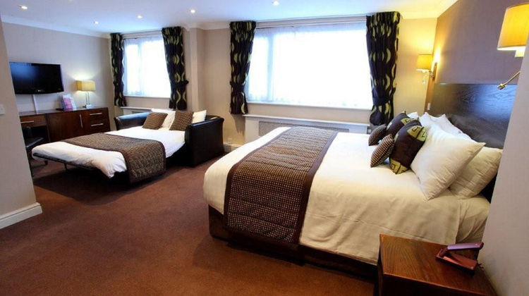 Dolphin Hotel Room