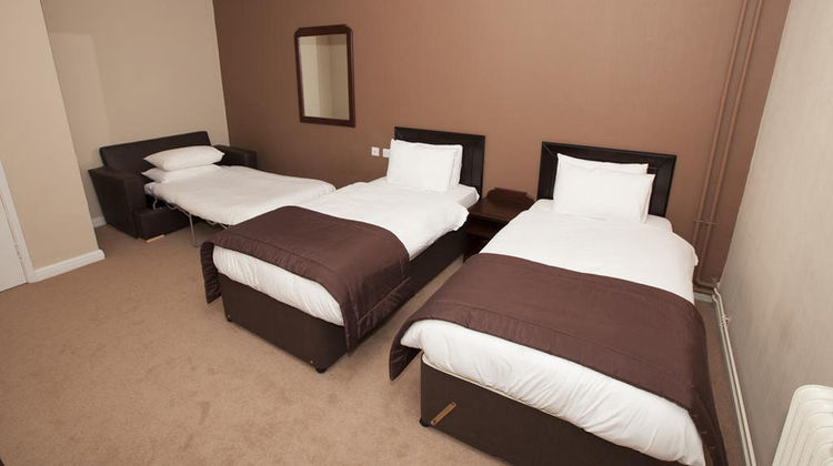 Dolphin Hotel Room
