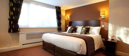 Dolphin Hotel Room