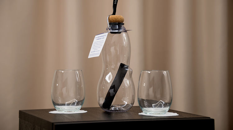 Artagonist Hotel Other