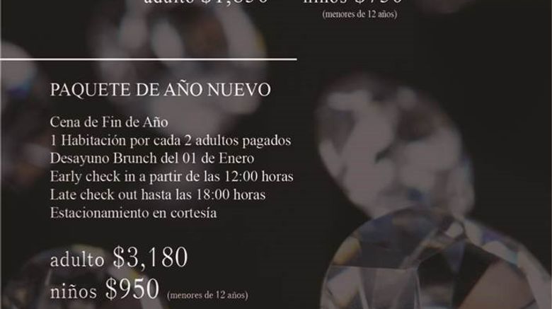 <b>Fiesta Americana Aguascalientes Other</b>. Images powered by <a href="https://www.leonardoworldwide.com/" title="Leonardo Worldwide" target="_blank">Leonardo</a>.