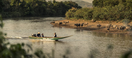 Four Seasons Tented Camp Golden Triangle Exterior