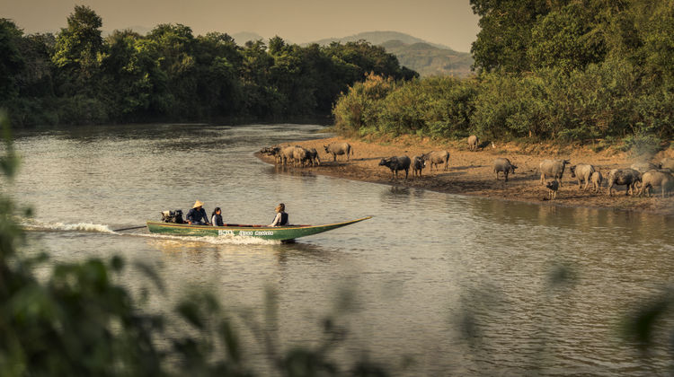 Four Seasons Tented Camp Golden Triangle Exterior