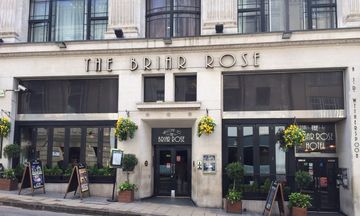 The Briar Rose