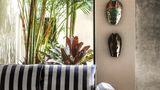 Malibu Popoyo Suite