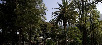 Los Olivos Hotel & Spa Exterior