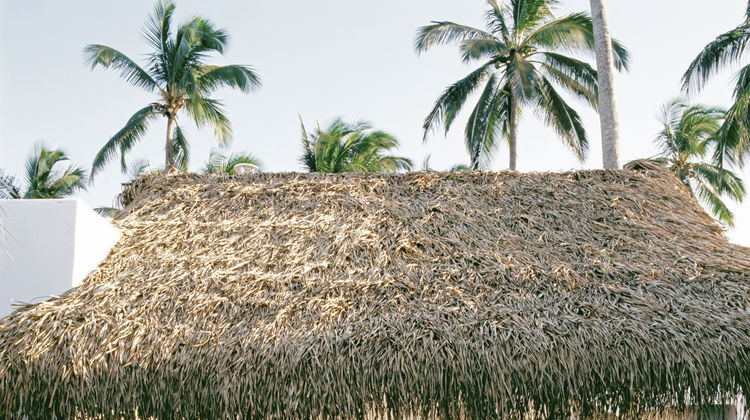 Azucar Veracruz, a Design Hotel Exterior