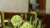 <b>Hotel Santa Regina Lobby</b>. Images powered by <a href="https://www.leonardoworldwide.com/" title="Leonardo Worldwide" target="_blank">Leonardo</a>.