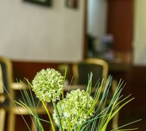 Hotel Santa Regina Lobby