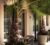 Seventeen Hotel Exterior