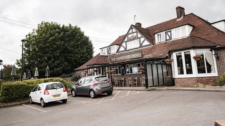 The Hampshire Hog Recreation