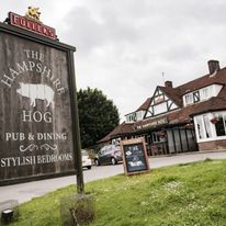The Hampshire Hog