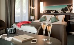 Mercure pont D'Avignon
