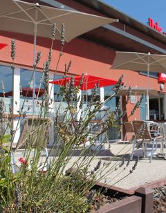 Ibis Albert