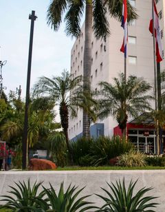 Ibis Asuncion