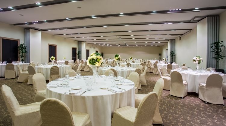 Crowne Plaza Rome-St Peter's Ballroom