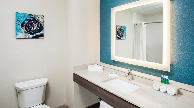 Holiday Inn Express/Suites Litchfield W Room
