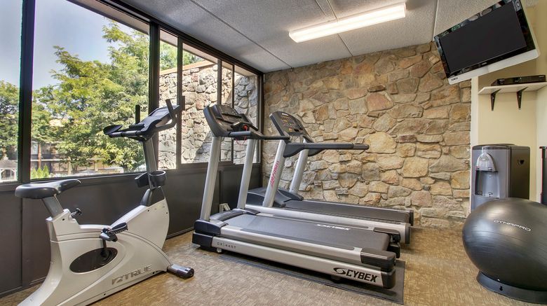 <b>Holiday Inn Westbury Long Island Health Club</b>. Images powered by <a href="https://www.leonardoworldwide.com/" title="Leonardo Worldwide" target="_blank">Leonardo</a>.