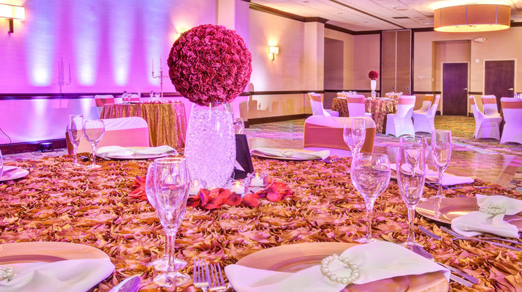 Holiday Inn National Airport Ballroom