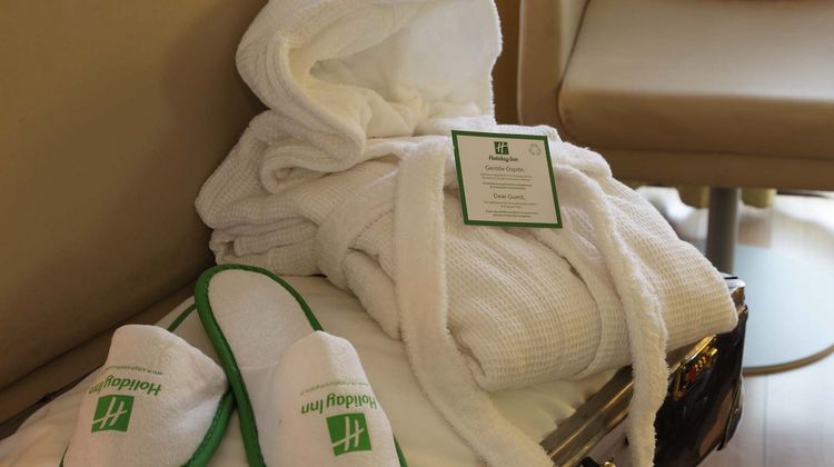 Holiday Inn Turin Corso Francia Room