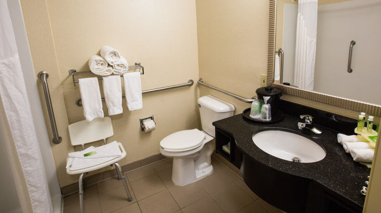 <b>Holiday Inn Express Alpharetta-Roswell Room</b>. Images powered by <a href="https://www.leonardoworldwide.com/" title="Leonardo Worldwide" target="_blank">Leonardo</a>.