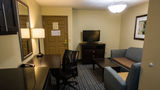 Holiday Inn Express Alpharetta-Roswell Suite