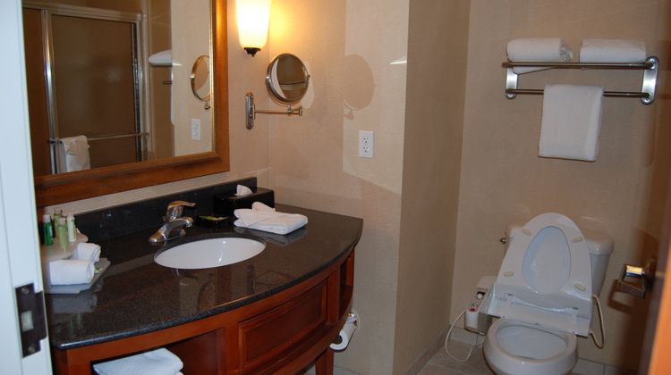 Holiday Inn Express/Suites Auburn Hills Room