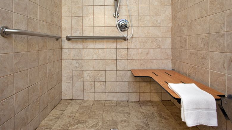 <b>Holiday Inn Express & Suites Dubois Room</b>. Images powered by <a href="https://www.leonardoworldwide.com/" title="Leonardo Worldwide" target="_blank">Leonardo</a>.