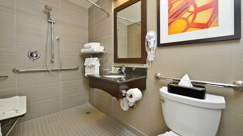 <b>Holiday Inn NYC - Lower East Side Room</b>. Images powered by <a href="https://www.leonardoworldwide.com/" title="Leonardo Worldwide" target="_blank">Leonardo</a>.