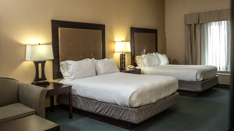 <b>Holiday Inn Express Hotel & Suites Suite</b>. Images powered by <a href="https://www.leonardoworldwide.com/" title="Leonardo Worldwide" target="_blank">Leonardo</a>.