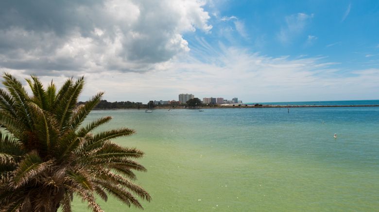 <b>Edge Hotel Clearwater Beach Other</b>. Images powered by <a href="https://www.leonardoworldwide.com/" title="Leonardo Worldwide" target="_blank">Leonardo</a>.