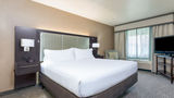 Holiday Inn Hotel Auburn Suite
