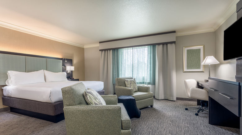 <b>Holiday Inn Hotel Auburn Room</b>. Images powered by <a href="https://www.leonardoworldwide.com/" title="Leonardo Worldwide" target="_blank">Leonardo</a>.