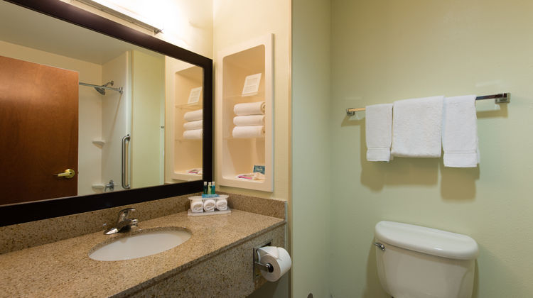 Holiday Inn Express I-95 Room